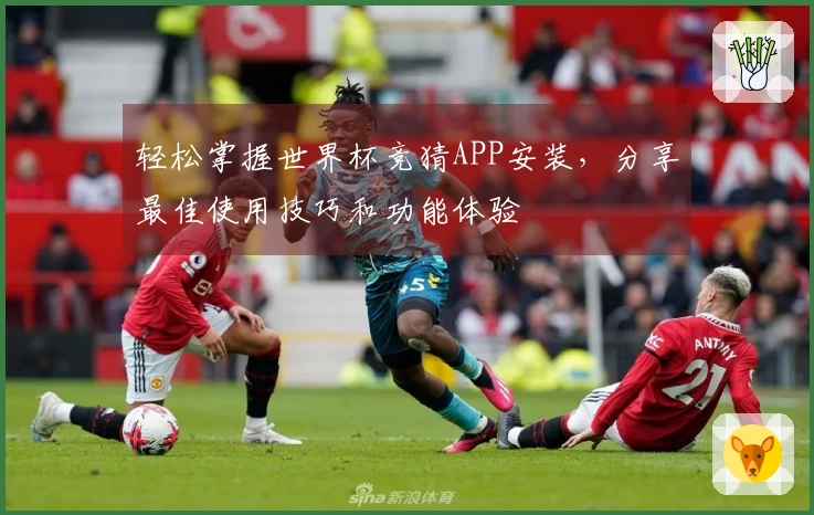 轻松掌握世界杯竞猜APP安装，分享最佳使用技巧和功能体验