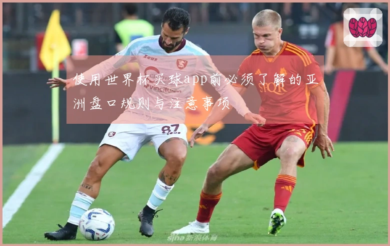使用世界杯买球app前必须了解的亚洲盘口规则与注意事项