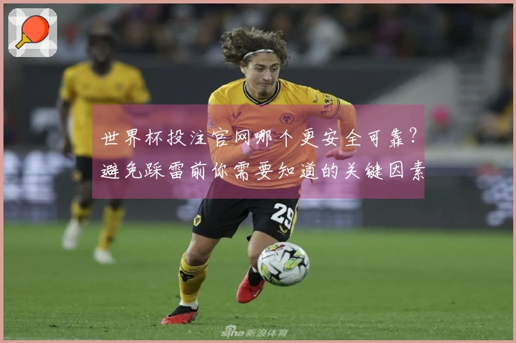 世界杯投注官网哪个更安全可靠？避免踩雷前你需要知道的关键因素