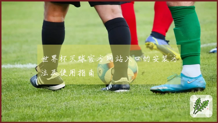 世界杯买球官方网站入口的安装方法及使用指南