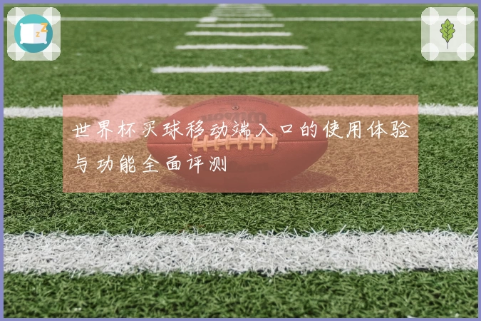 世界杯买球移动端入口的使用体验与功能全面评测