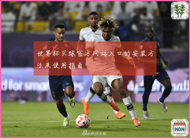 世界杯买球官方网站入口的安装方法及使用指南