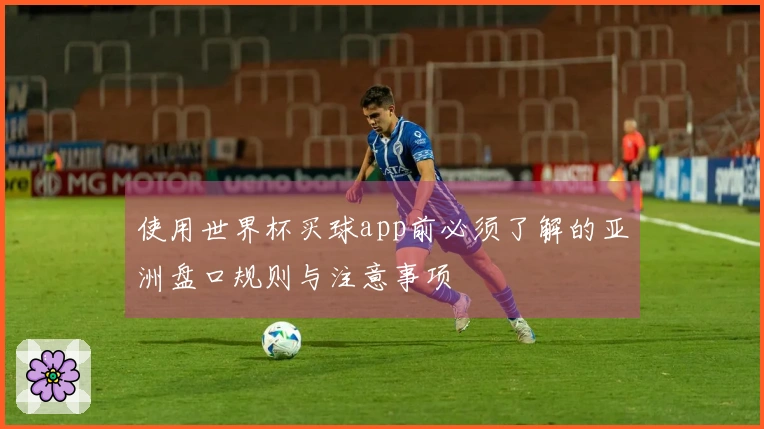 使用世界杯买球app前必须了解的亚洲盘口规则与注意事项
