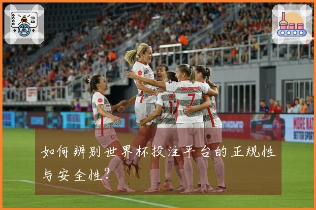 如何辨别世界杯投注平台的正规性与安全性?