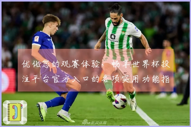 优化您的观赛体验，畅享世界杯投注平台官方入口的各项实用功能指南