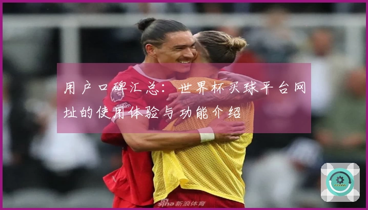用户口碑汇总：世界杯买球平台网址的使用体验与功能介绍